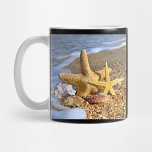 Starfish and Sea Shell Mug